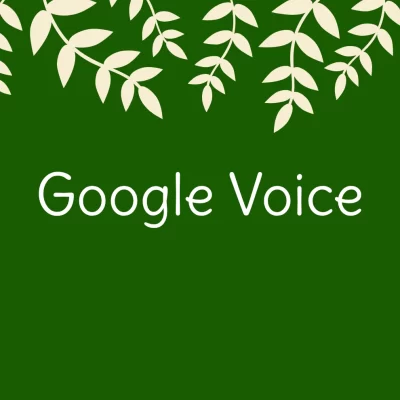 جستجوی صوتی گوگل