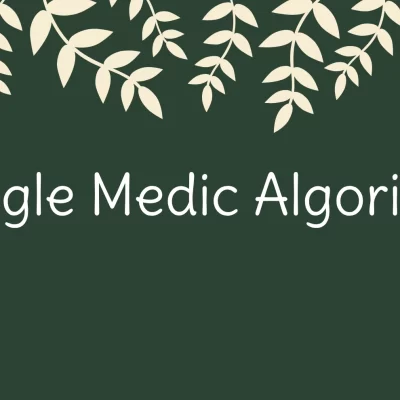 الگوریتم مدیک (Google Medic)