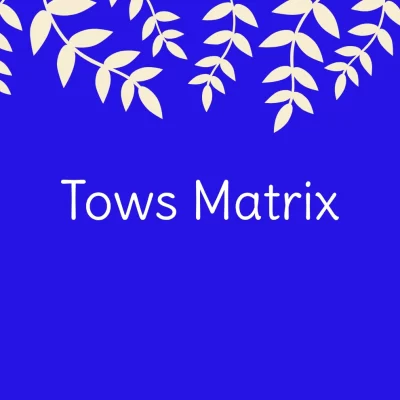 ماتریس TOWS